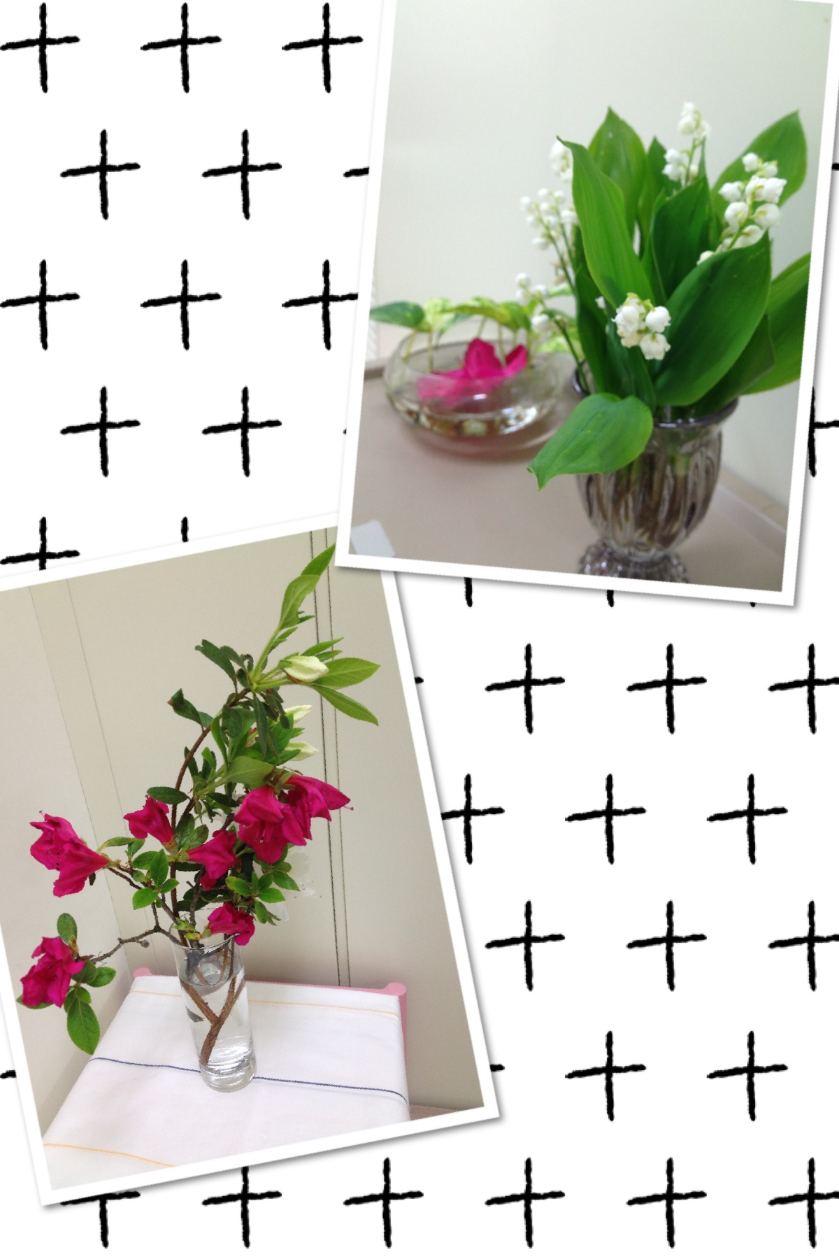 flower.JPG