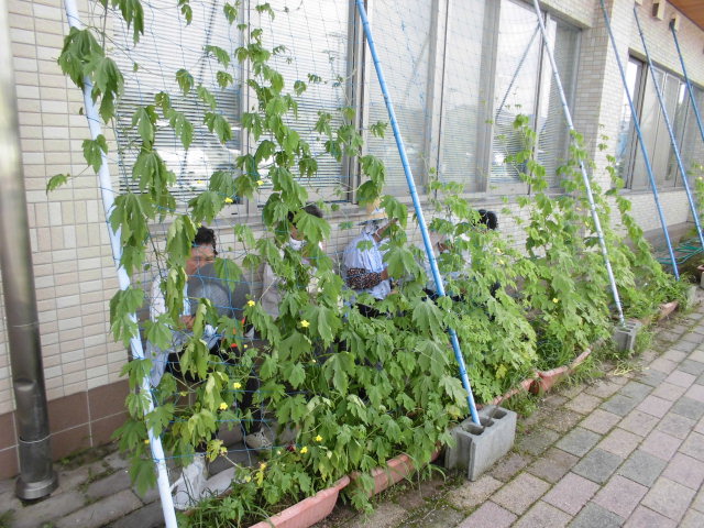 CIMG0238.JPG