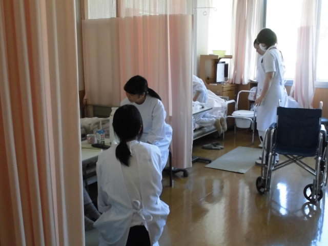 CIMG0308.JPG