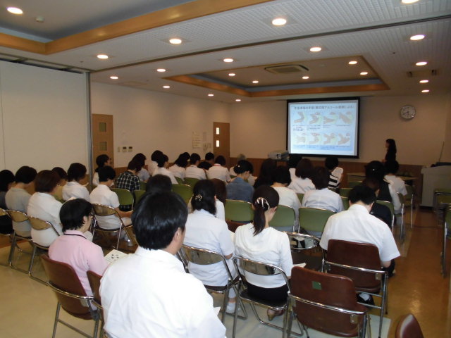 CIMG0356.JPG