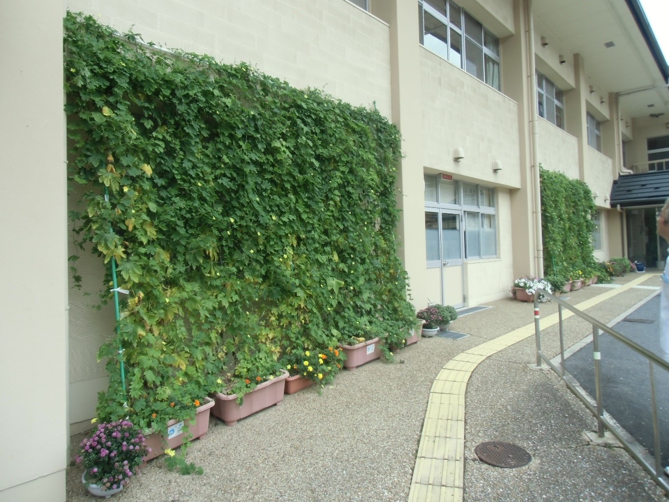 20140904goya.jpg