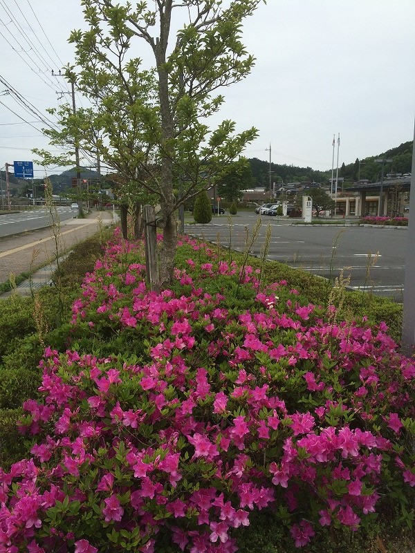 s-IMG_0857.jpg