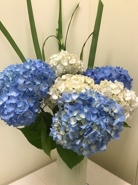 s-IMG_0205_2017062708210626.jpg
