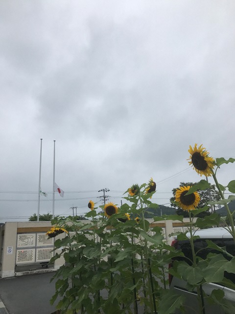 IMG_1532_2017081511594427.JPG