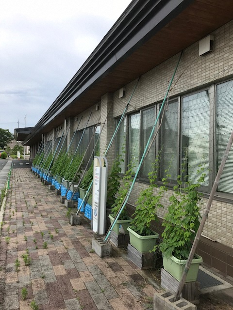 IMG_7210_2018070321265958.jpg
