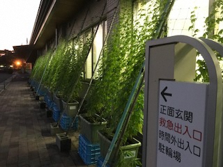 IMG_7478_2018072008104894.jpg
