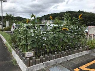 IMG_7921_2018081614314132.jpg