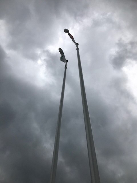 IMG_8105_2018082508182213.jpg