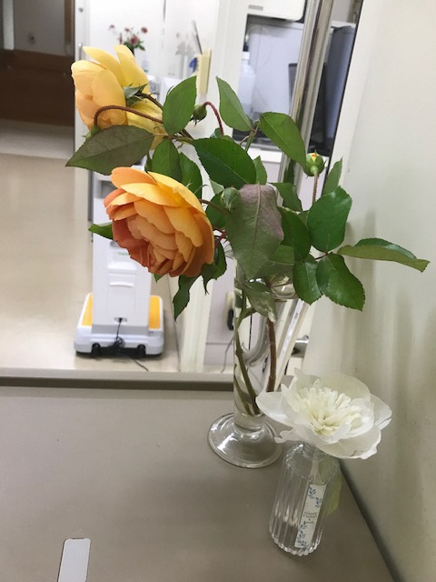 IMG_9193_2018100919034524.jpg