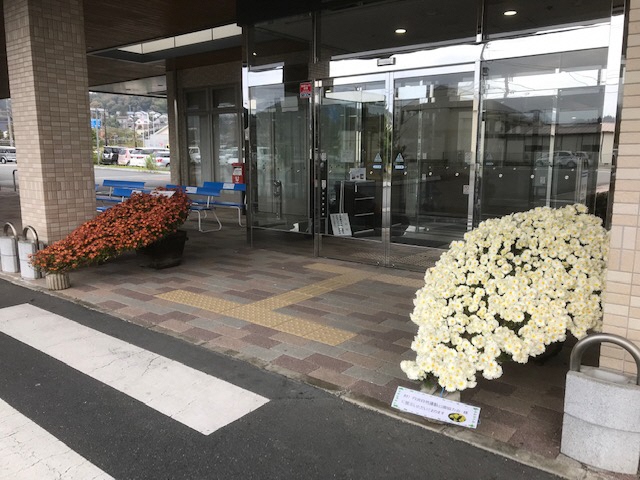 IMG_9788_2018111211185892.jpg