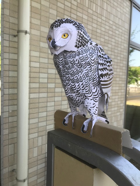 IMG_2741_2019052414293068.jpg