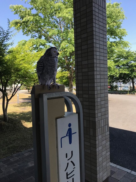 IMG_2743_2019052414293068.JPG