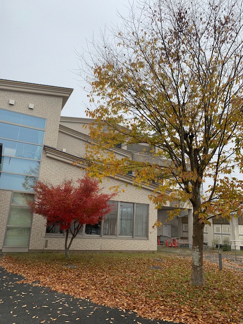 IMG_7741_2020111208323107.jpg