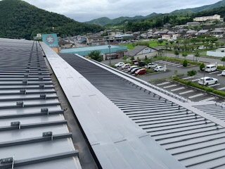IMG_0927_2021070208195692.jpg
