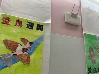 IMG_5855.jpg