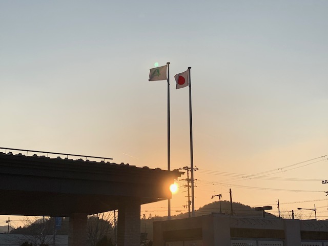 IMG_7359.jpg